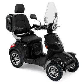 Rolektro E-Quad 25 V.3 Premium, Lithium 25 Km/h
