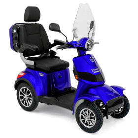 Rolektro E-Quad 25 V.3 Premium, Lithium 25 Km/h