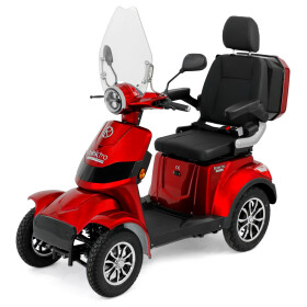 Rolektro E-Quad 15 V.3 Premium Lithium 15 Km/h